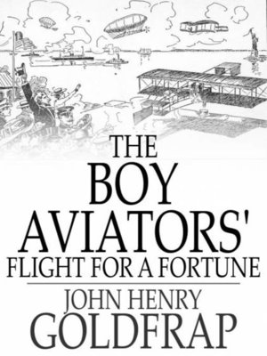 cover image of The Boy Aviators' Flight for a Fortune